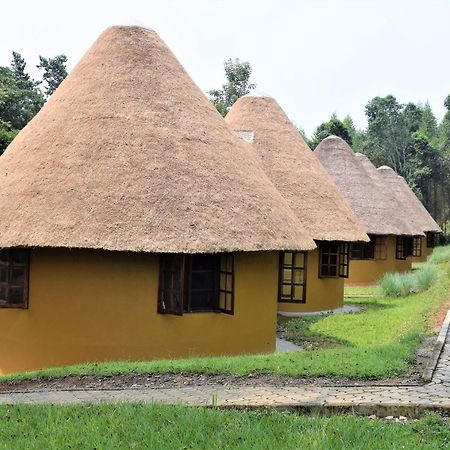 Kibale Guest Cottages Fort Portal Ngoại thất bức ảnh