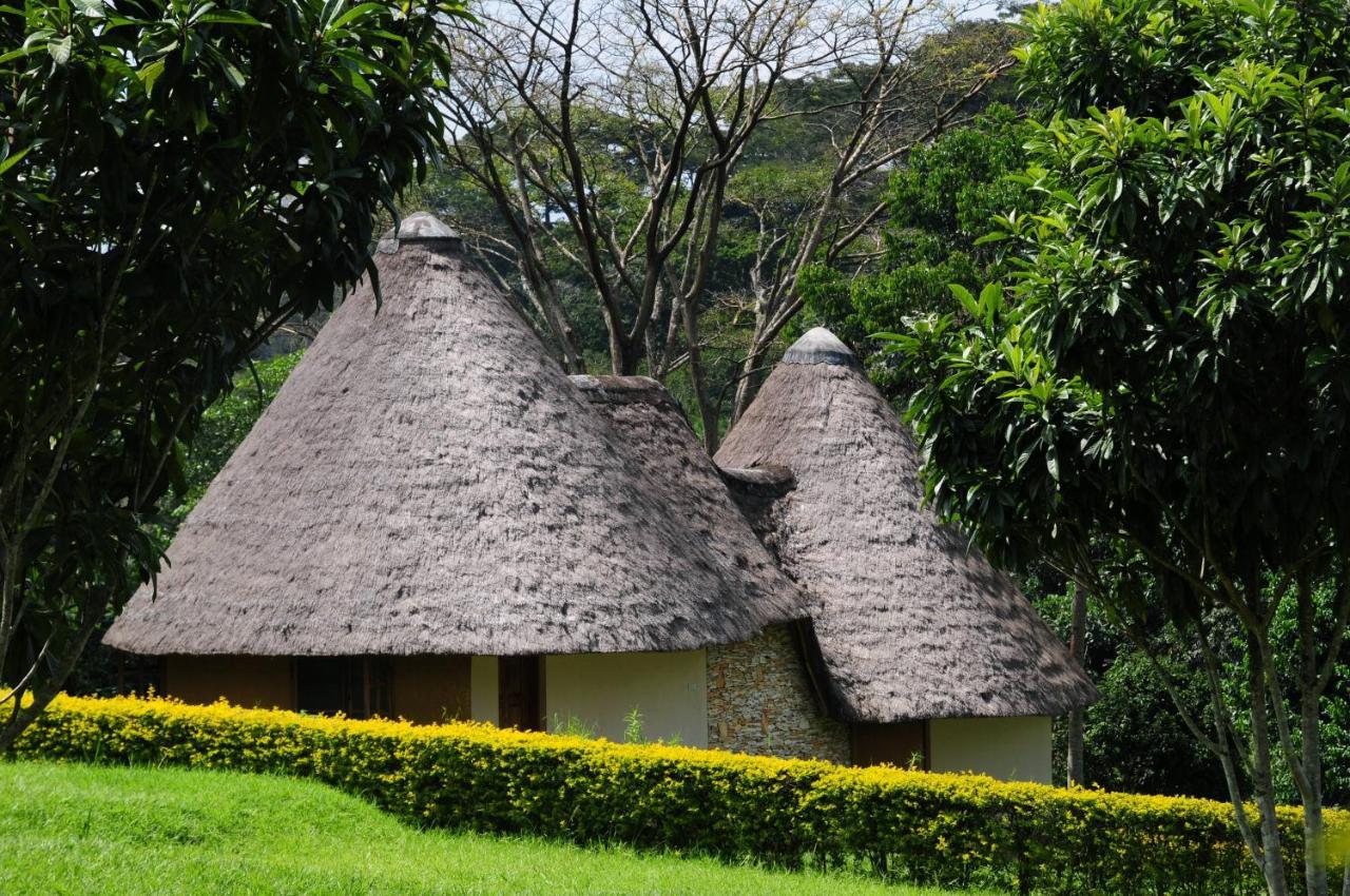Kibale Guest Cottages Fort Portal Ngoại thất bức ảnh