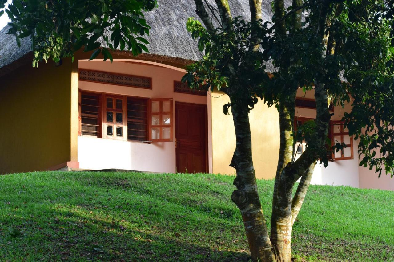 Kibale Guest Cottages Fort Portal Ngoại thất bức ảnh