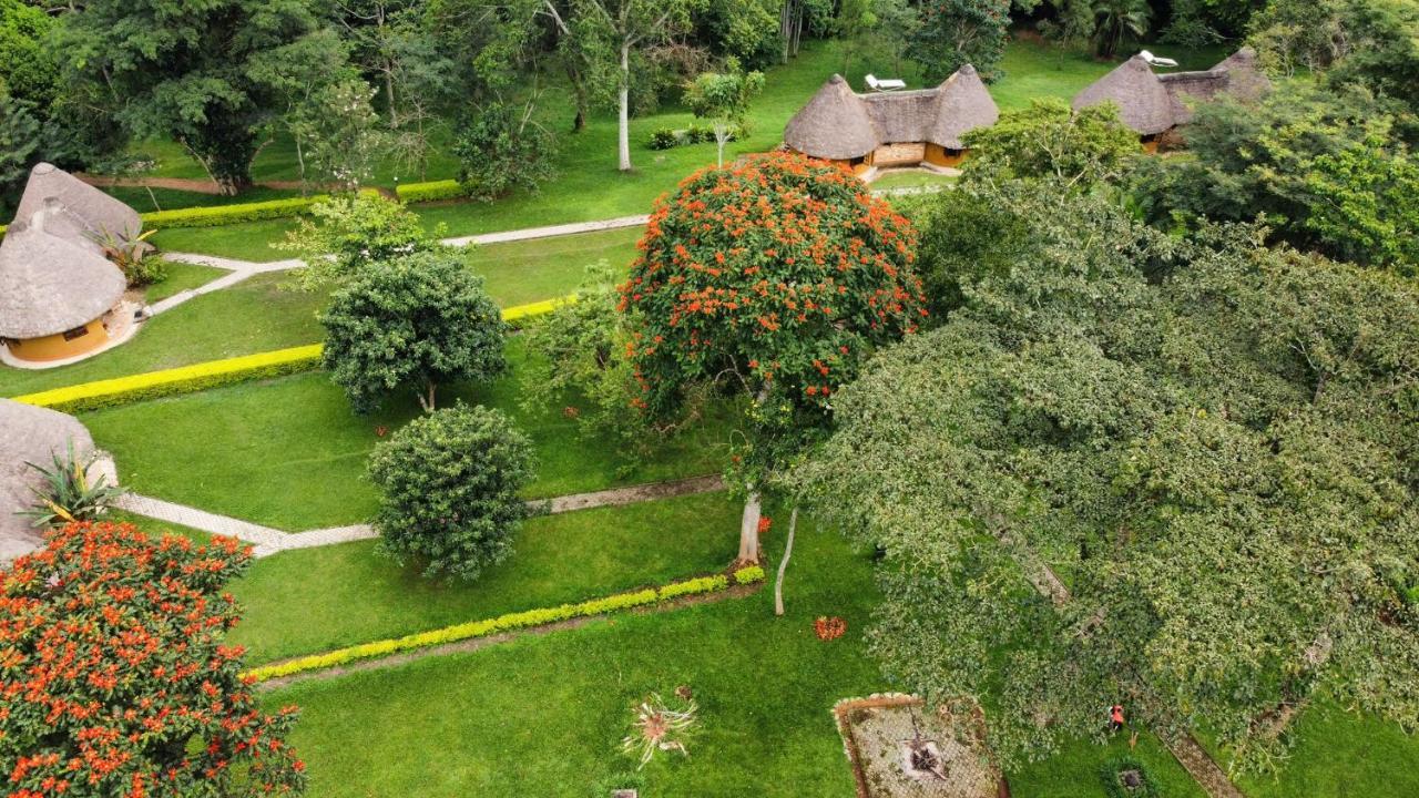 Kibale Guest Cottages Fort Portal Ngoại thất bức ảnh