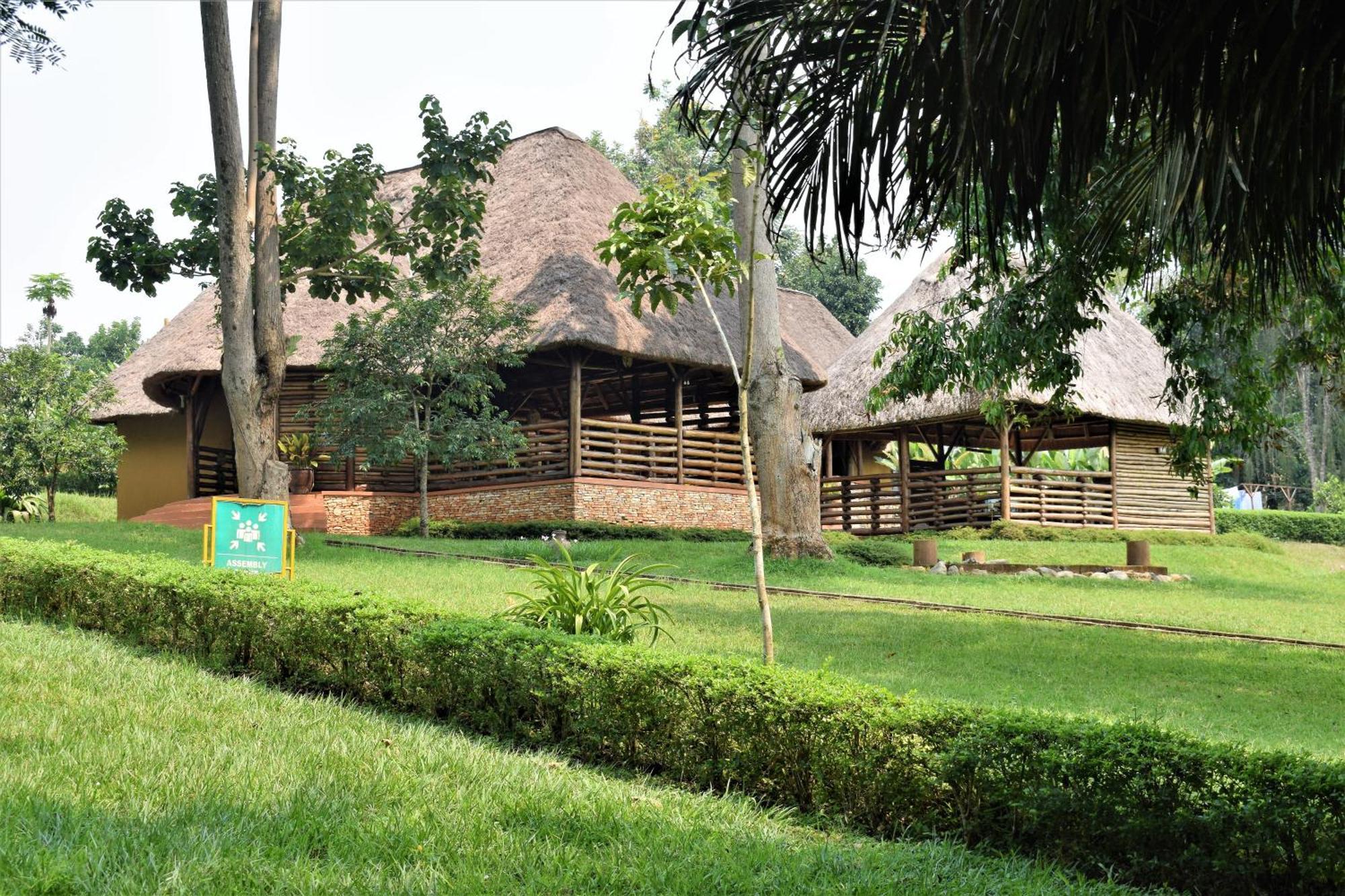 Kibale Guest Cottages Fort Portal Ngoại thất bức ảnh