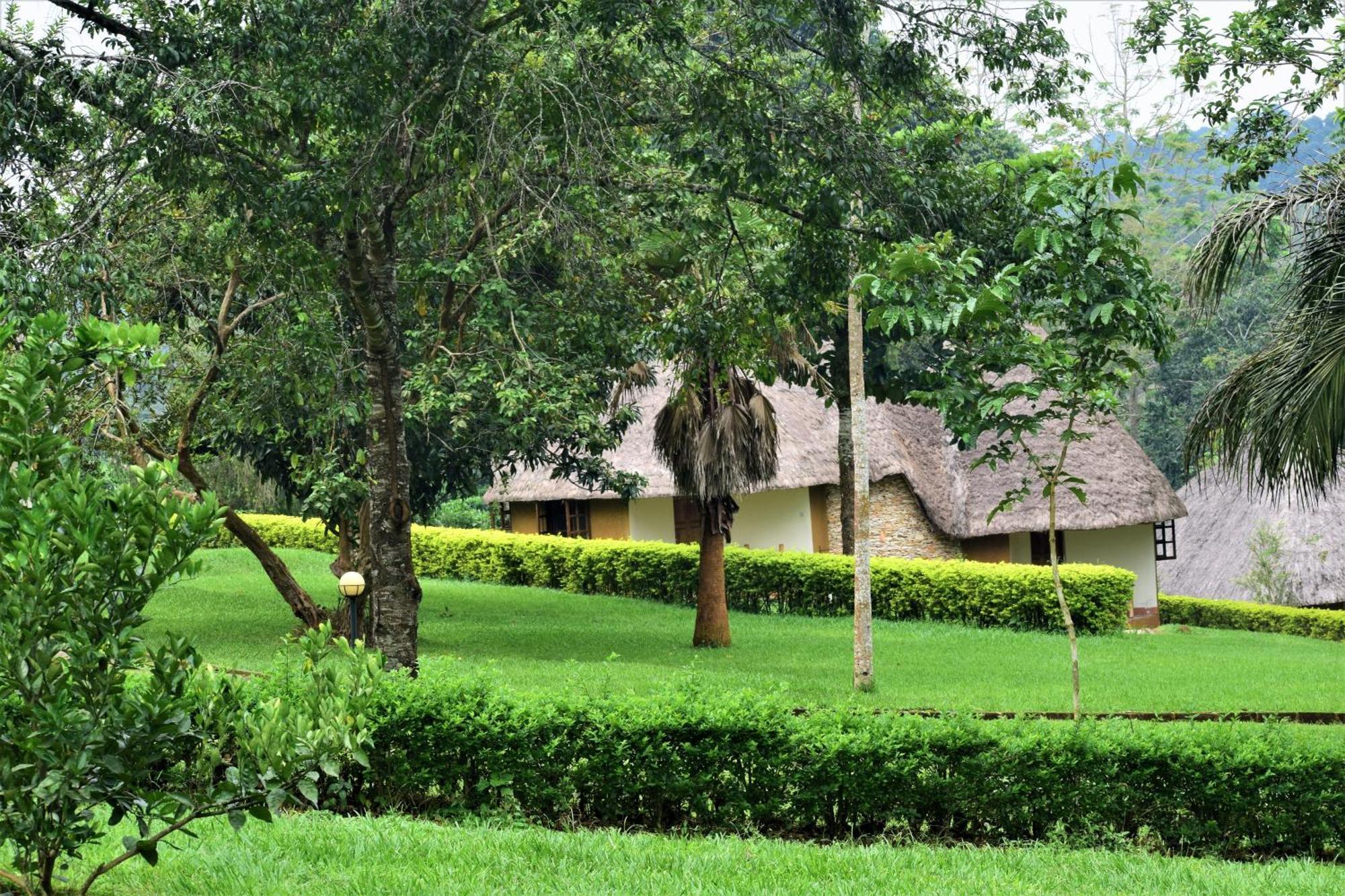 Kibale Guest Cottages Fort Portal Ngoại thất bức ảnh